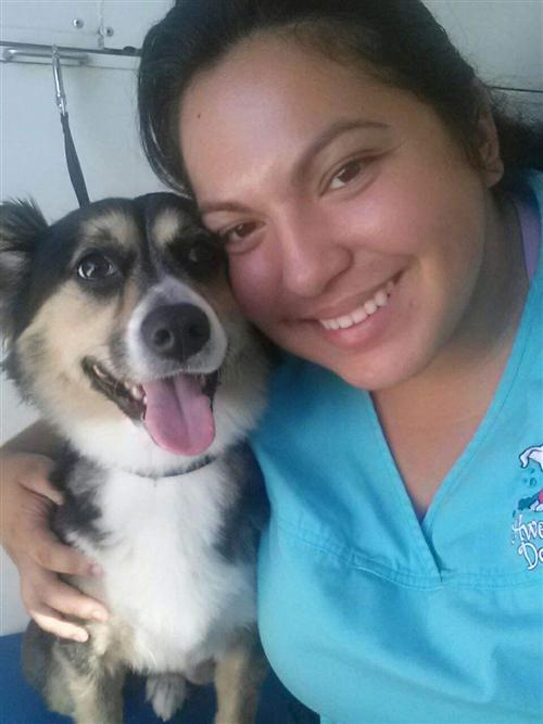 The 5 Questions to Ask That Tell You Everything You Need to Know About