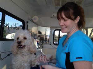 aussie mobile pet grooming reviews