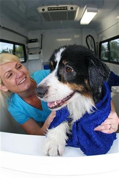 7 Things Your Cat and Dog Want You to Know about San Diego Mobile Pet