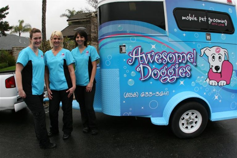 download bow wow mobile grooming salon download bow wow mobile grooming salon