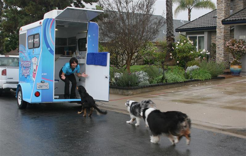 scripps-ranch-pet-grooming-trailer